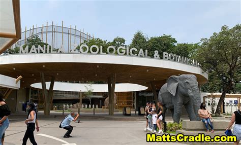 Manila Zoo 2022: How to Book Your Tickets Online.